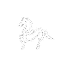 Horse — The Free Spirit