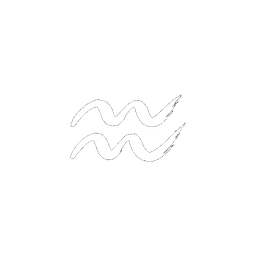 Aquarius — The Water Bearer